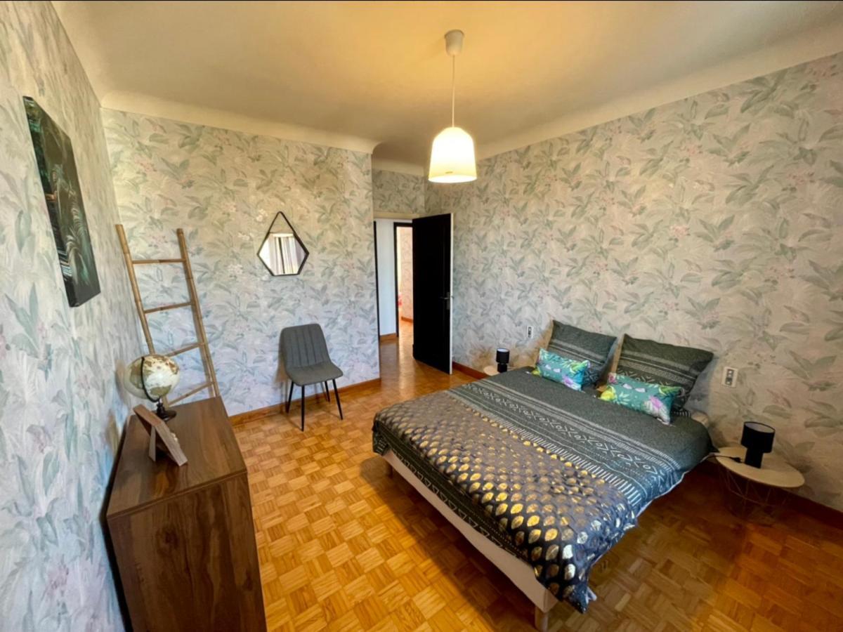 Tres Grand Appartement A 10 Min A Pied Du Centre Castres  Bagian luar foto